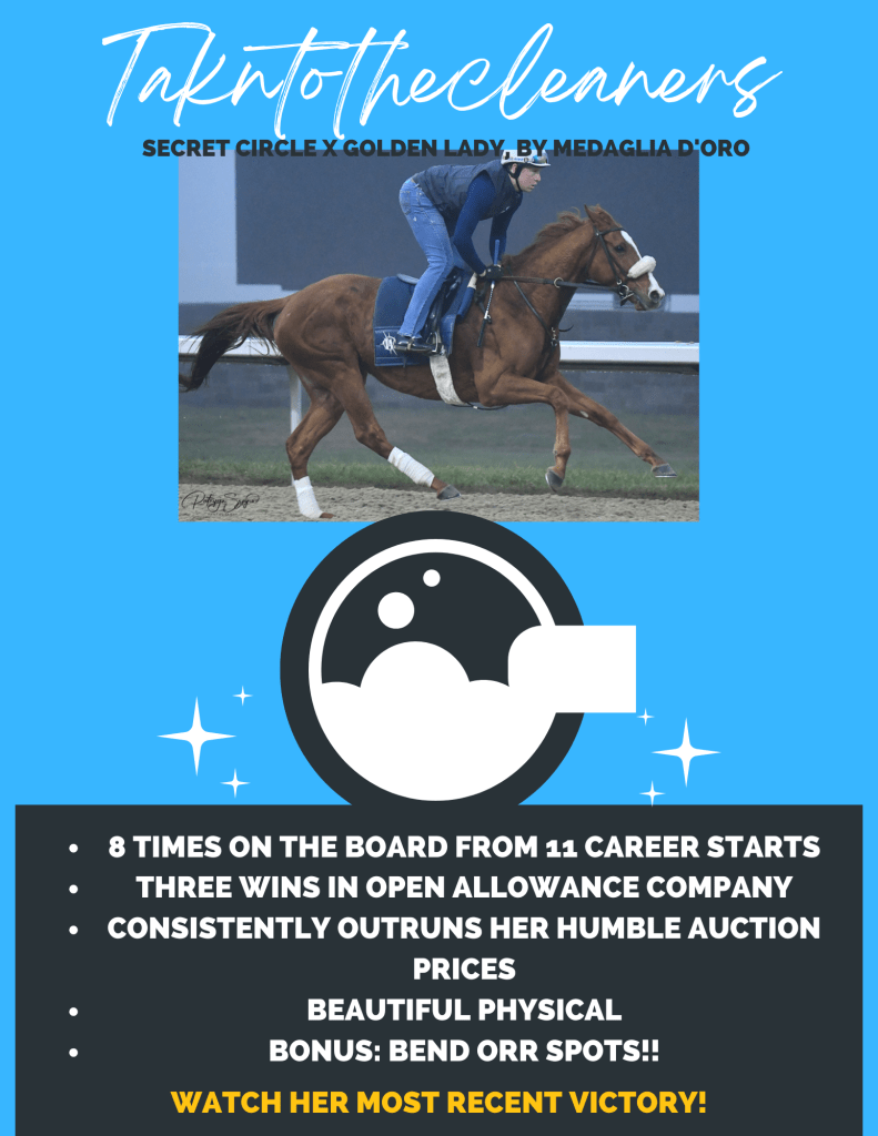A jockey riding a chestnut horse on a racetrack, with text highlighting the horse's achievements and pedigree.