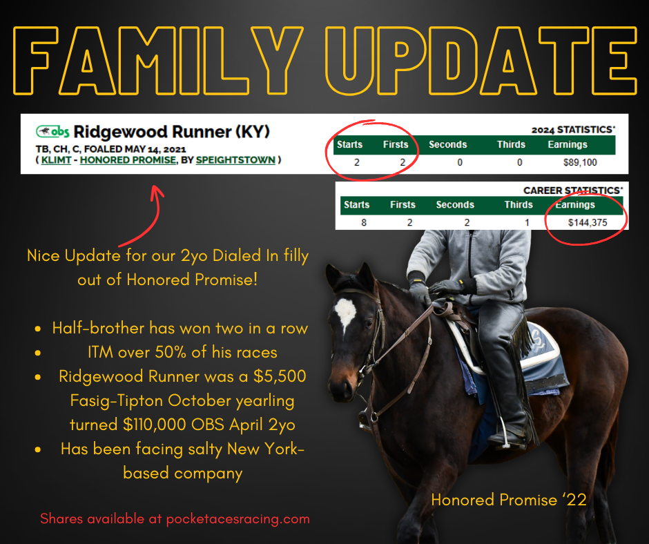 An update on the racehorse Ridgewood Runner, detailing its statistics, earnings, and recent performance. The image includes a photo of a horse and rider, statistics tables, and text highlighting key updates.